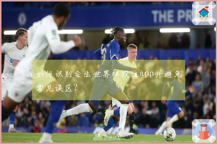 如何识别合法世界杯投注app并避免常见误区？