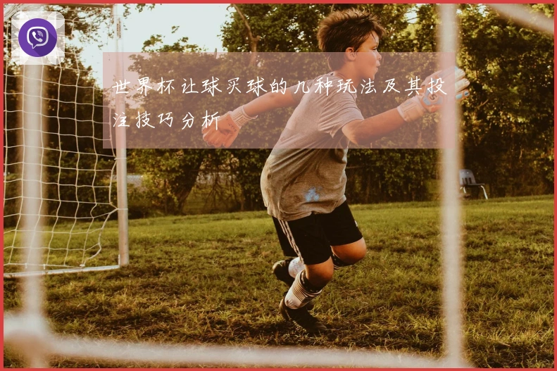 世界杯让球买球的几种玩法及其投注技巧分析