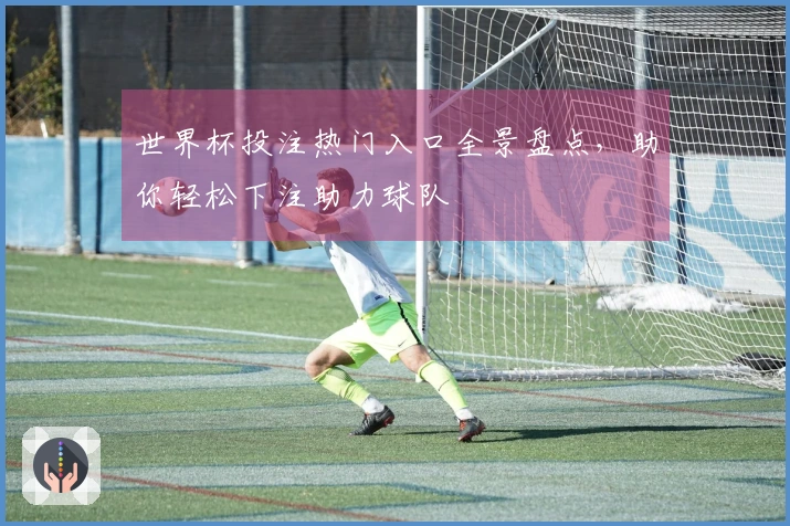 世界杯投注热门入口全景盘点，助你轻松下注助力球队