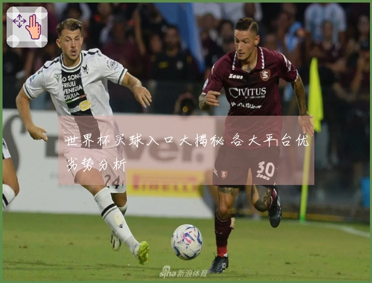 世界杯买球入口大揭秘 各大平台优劣势分析
