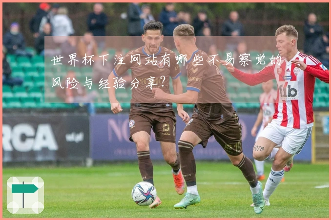 世界杯下注网站有哪些不易察觉的风险与经验分享？