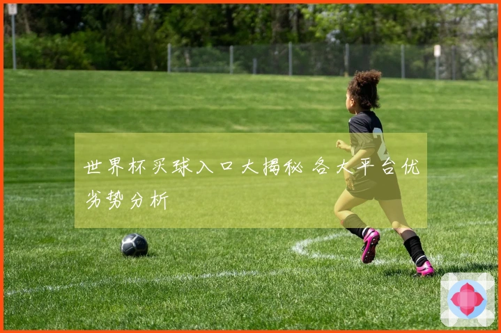 世界杯买球入口大揭秘 各大平台优劣势分析