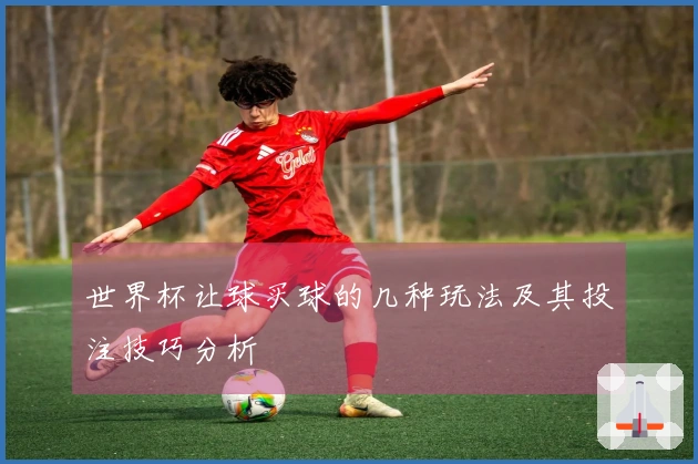 世界杯让球买球的几种玩法及其投注技巧分析