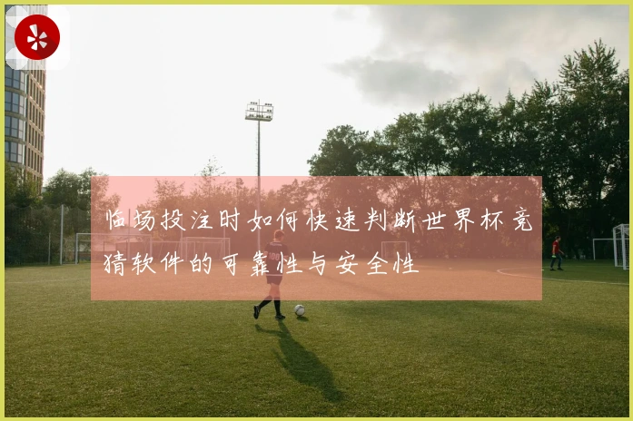 临场投注时如何快速判断世界杯竞猜软件的可靠性与安全性