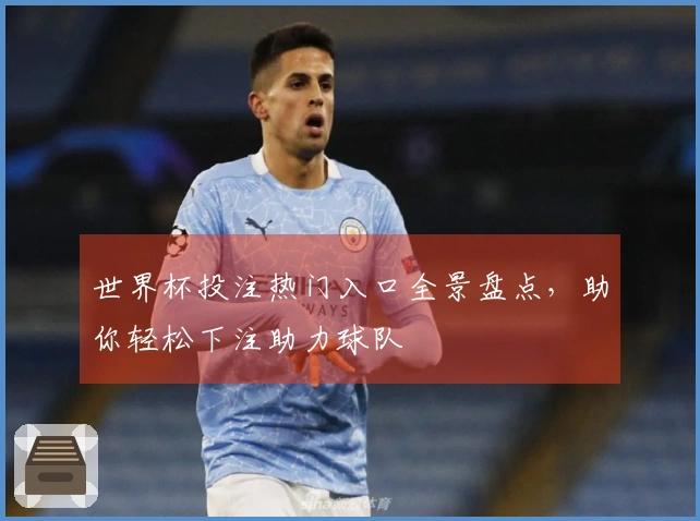 世界杯投注热门入口全景盘点,助你轻松下注助力球队