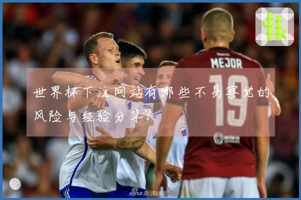 世界杯下注网站有哪些不易察觉的风险与经验分享？