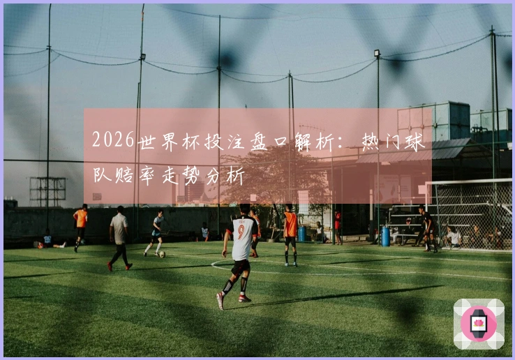 2026世界杯投注盘口解析：热门球队赔率走势分析